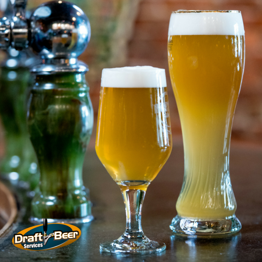 Does the Shape of Your Beer Glass Matter?
